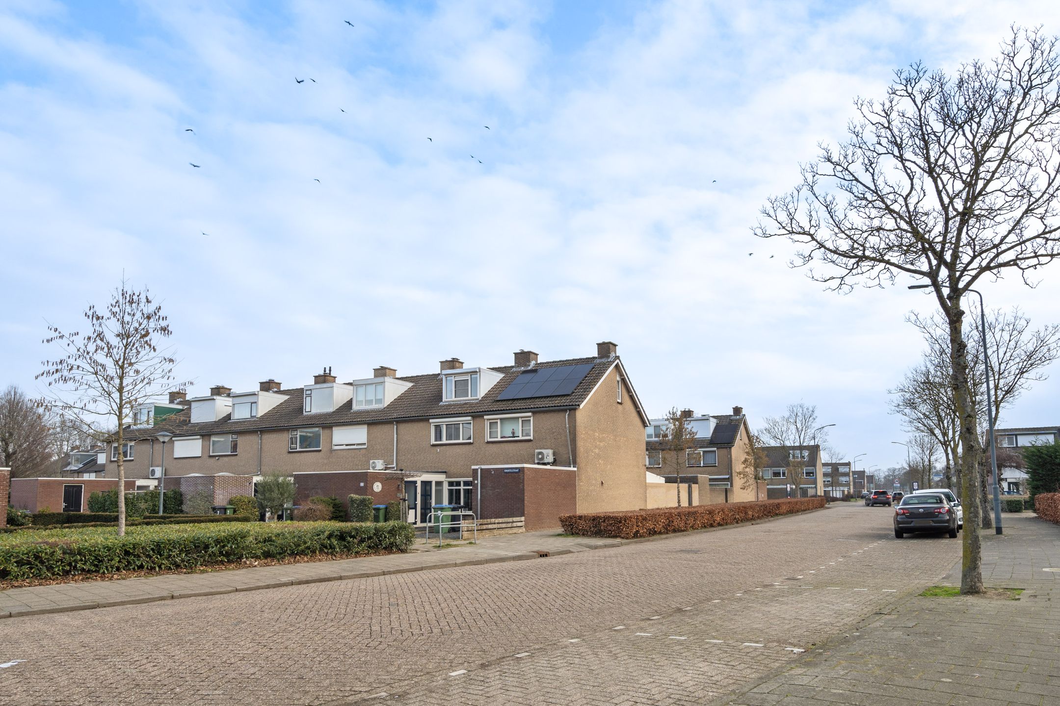 Foto 36 van Kwartelstraat 11