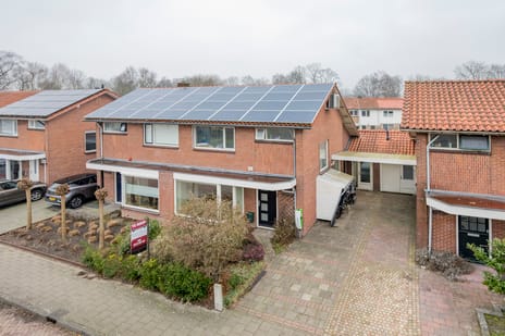 undefined main image