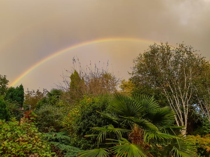 Photo 35 of Admiraal de Ruyterlaan 12-C