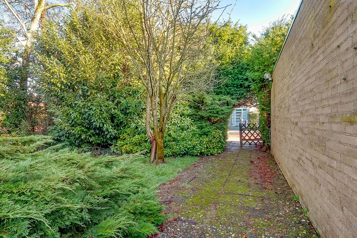 Foto 29 van Eikenrodelaan 3