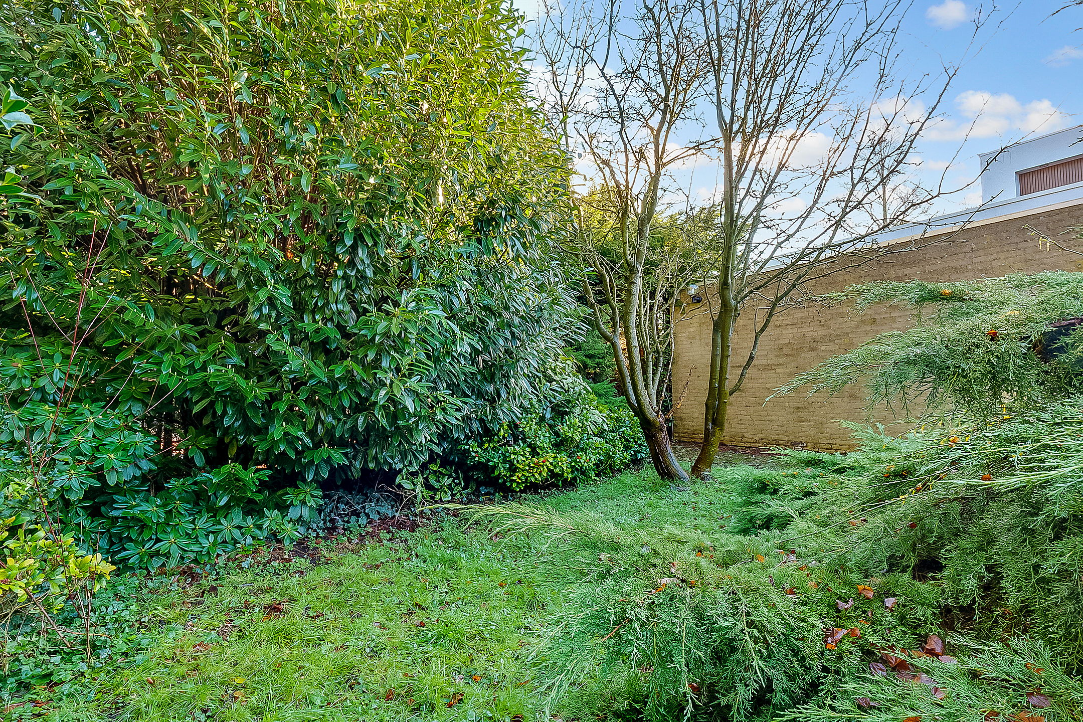 Foto 39 van Eikenrodelaan 3