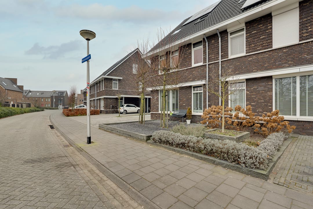 Photo 2 of Bosanemoon 70