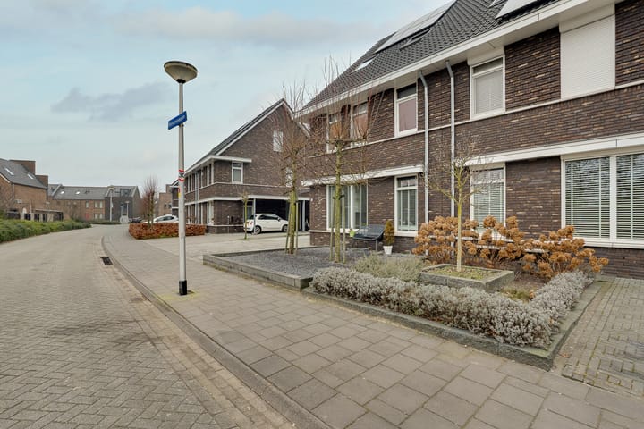 Photo 2 of Bosanemoon 70