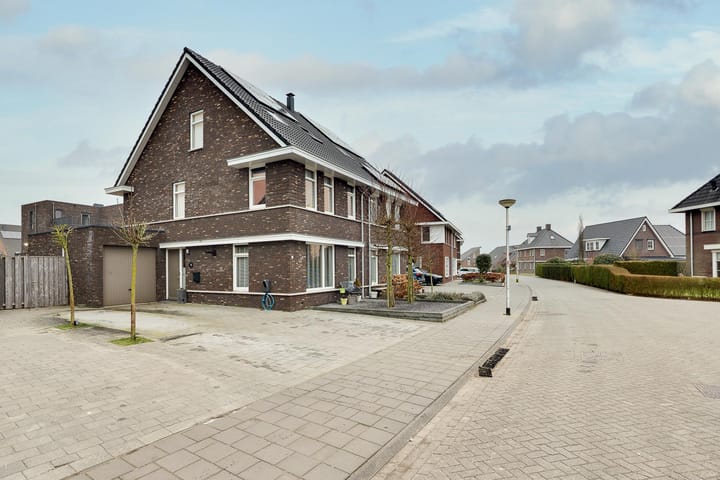 Photo 3 of Bosanemoon 70