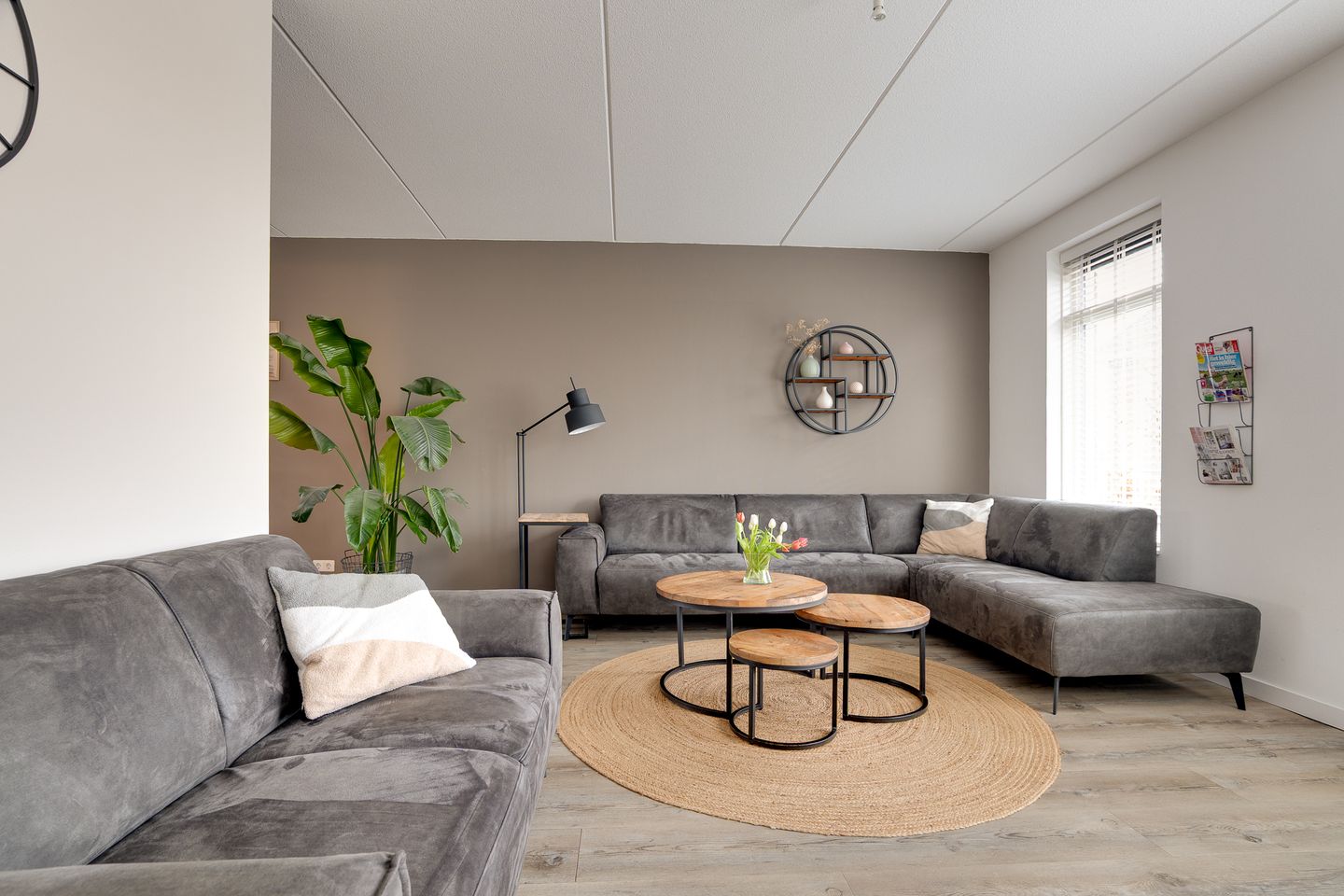 Photo 5 of Bosanemoon 70