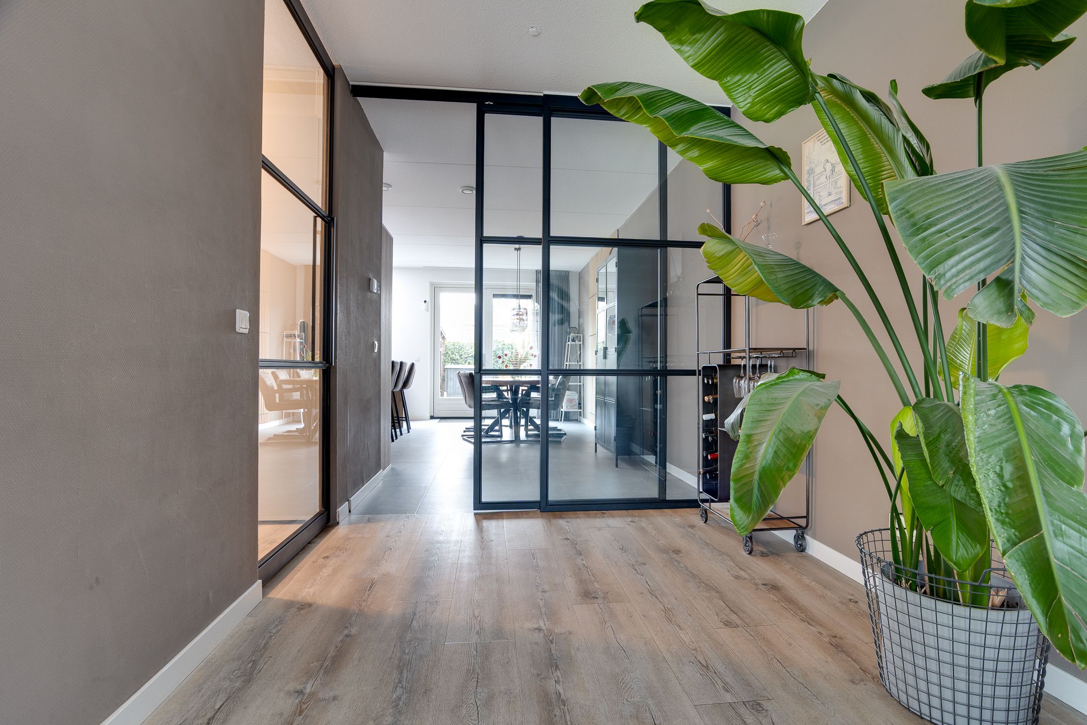 Photo 9 of Bosanemoon 70