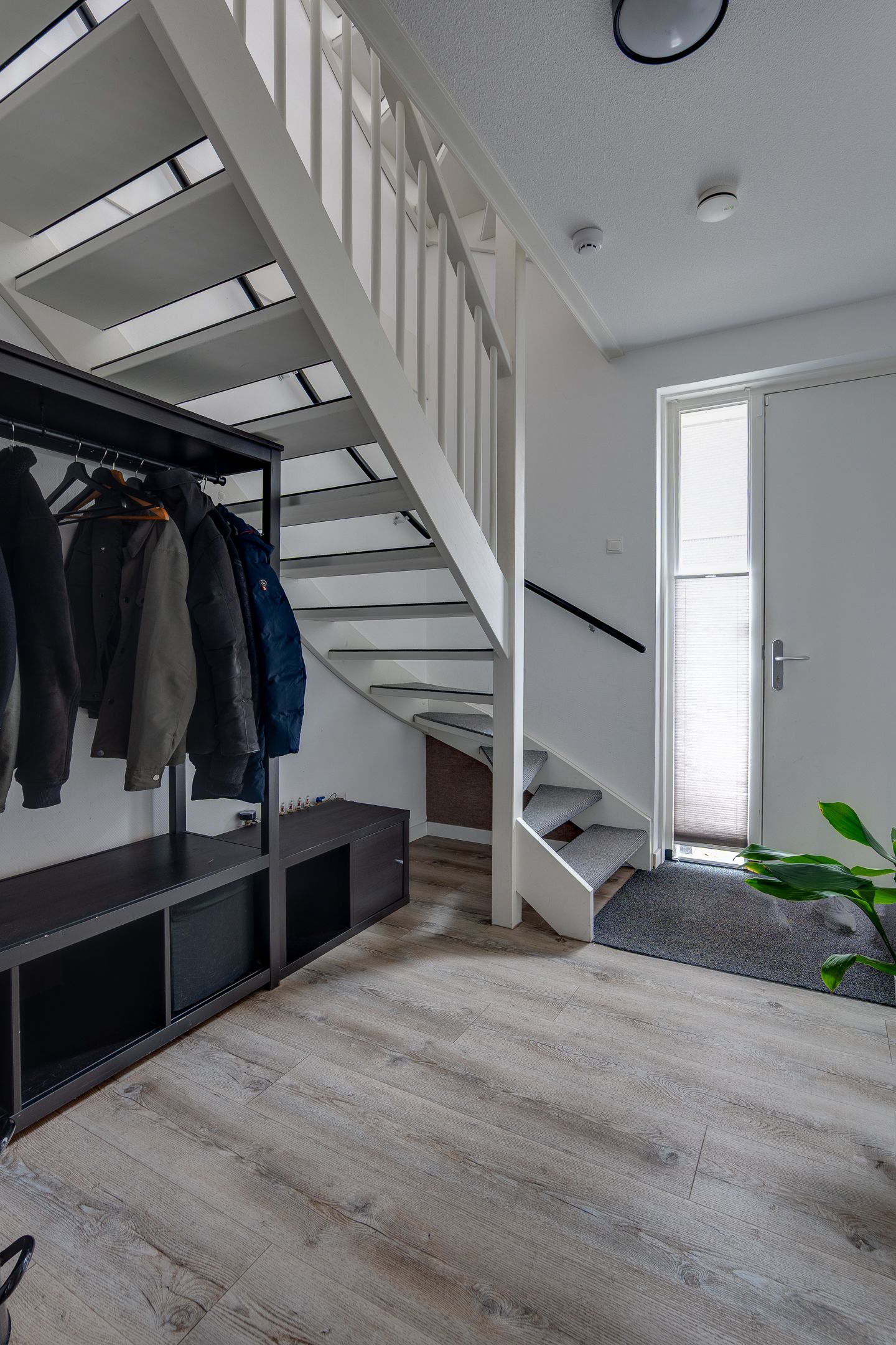 Photo 14 of Bosanemoon 70