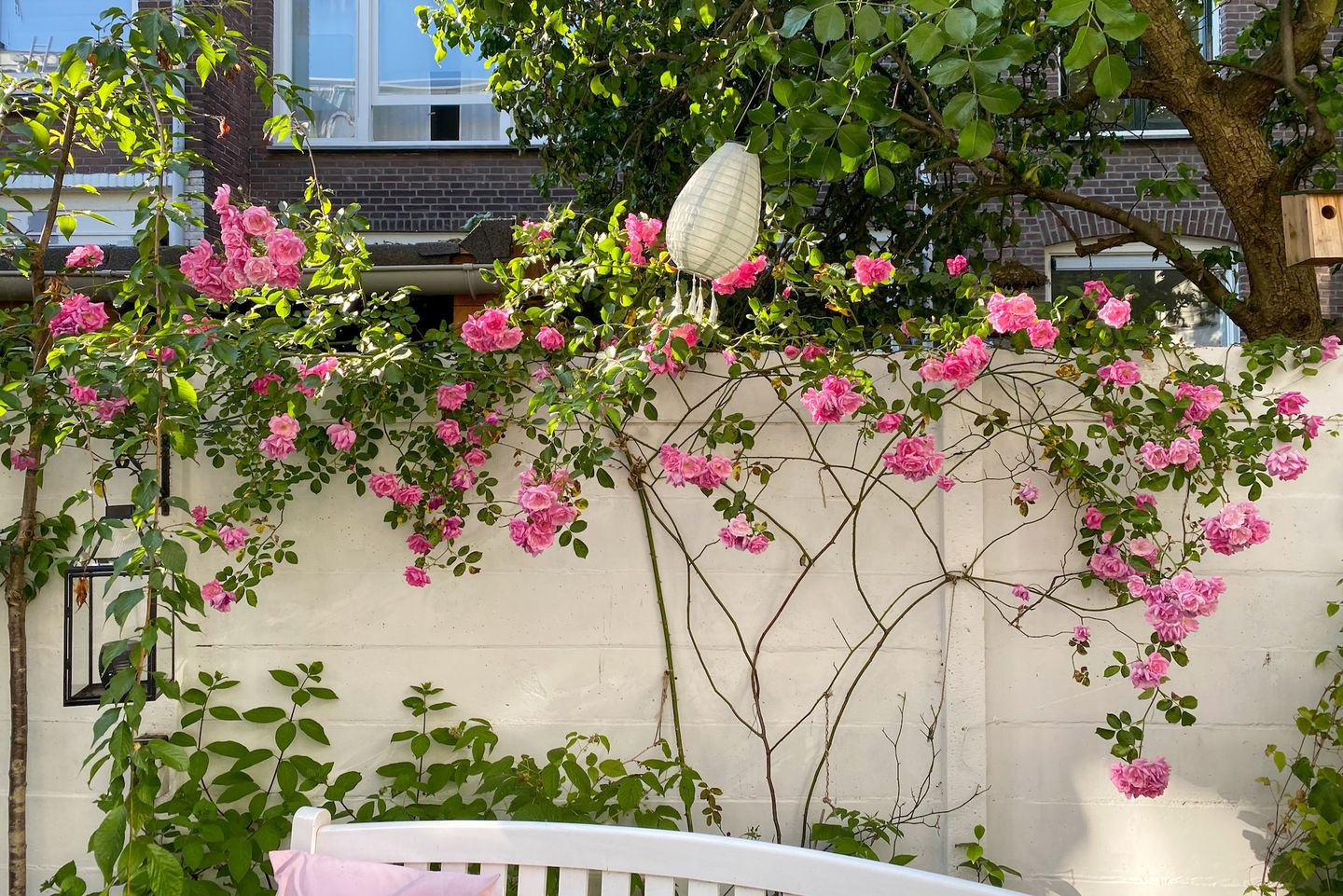 Foto 20 van Boylestraat 5