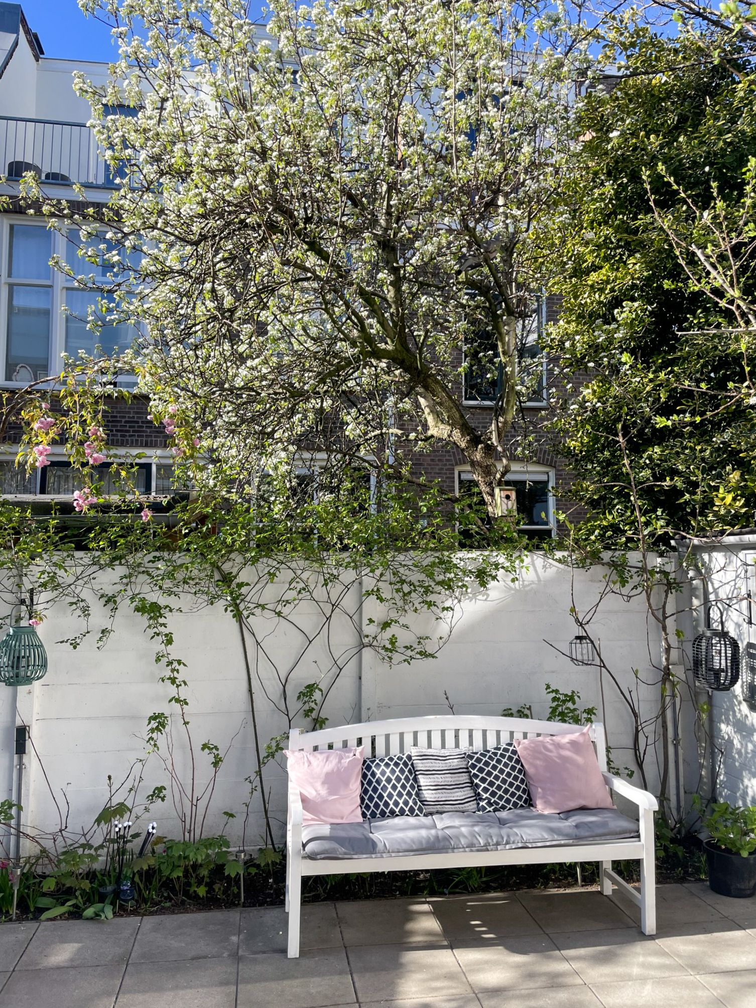 Foto 21 van Boylestraat 5