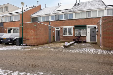 undefined main image