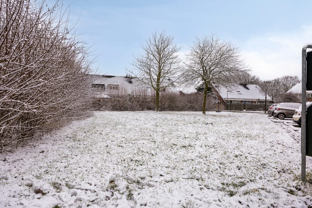 Photo 37 of Kamelenspoor 281