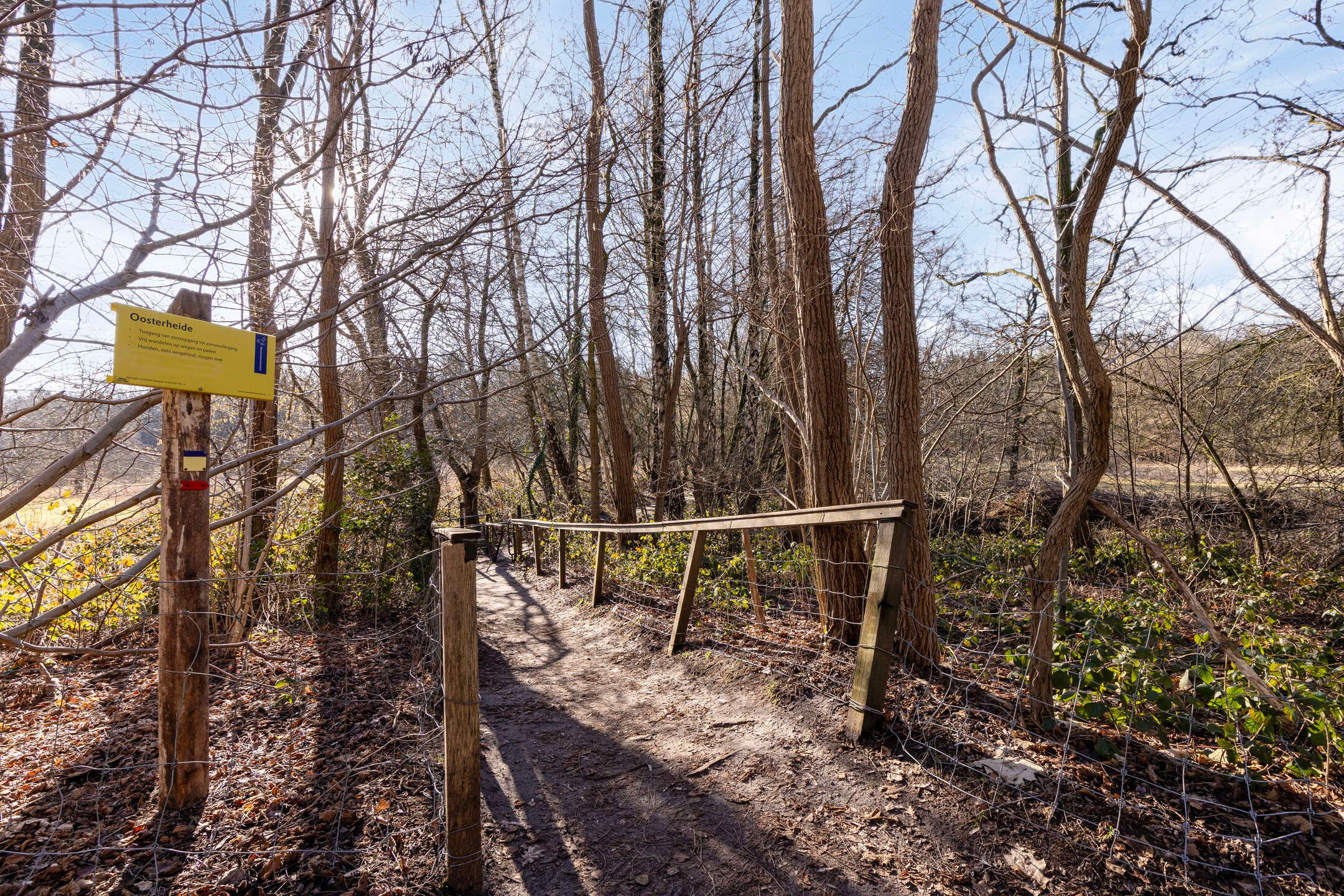 Foto 33 van Van Leeuwenhoeklaan 3