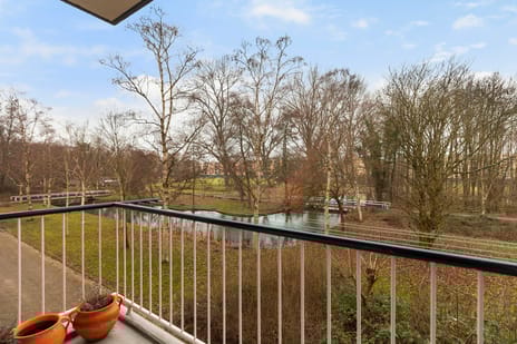 Schalkeroord 191 tertiary image