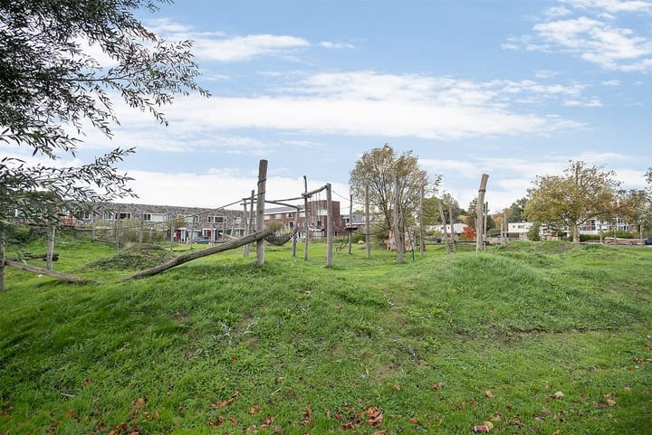 Foto 19 van Van Limburg Stirumstraat 119