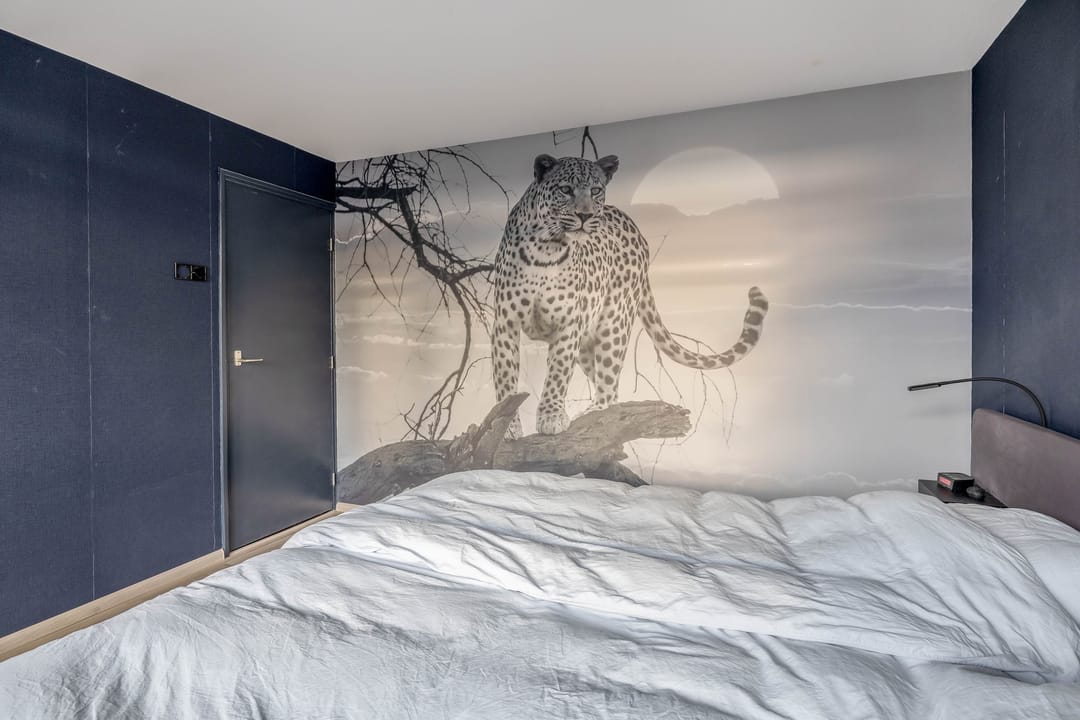 Foto 28 van Jan van de Cappellestraat 2