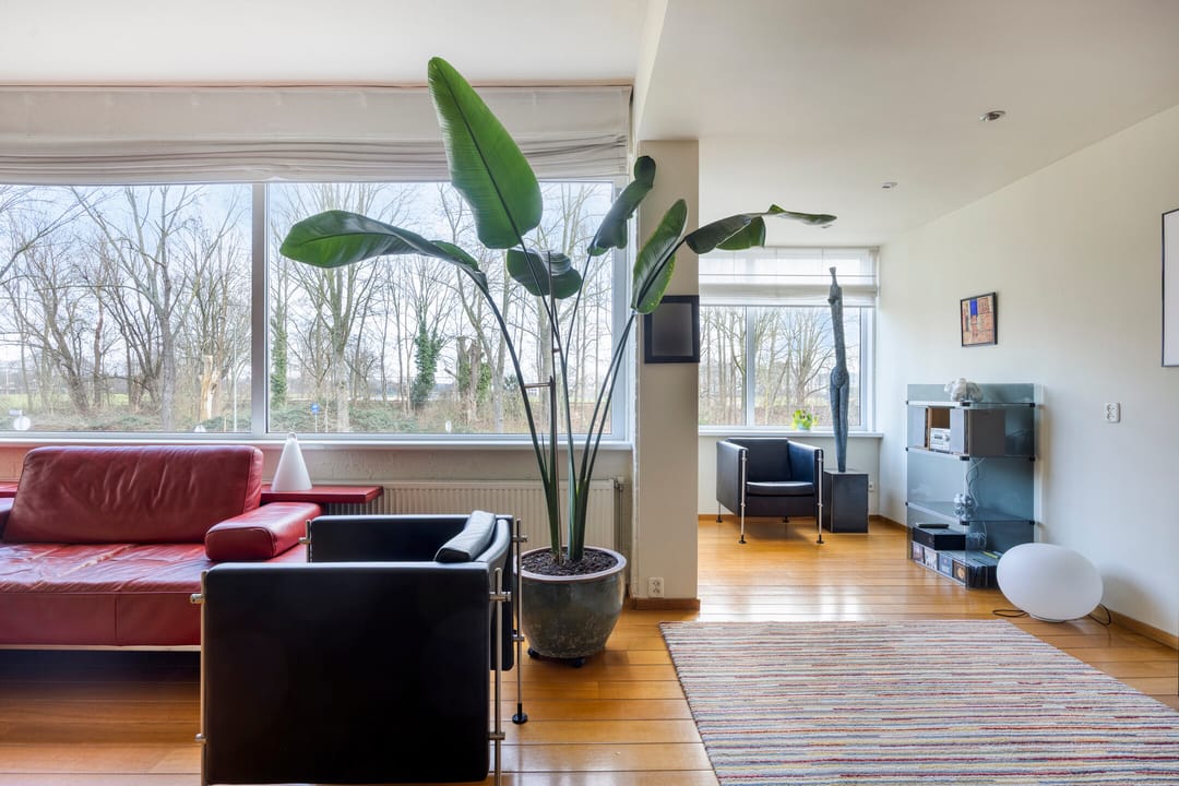 Foto 22 van Ringoven 1