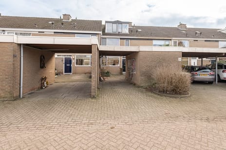 Akelei 38 secondary image