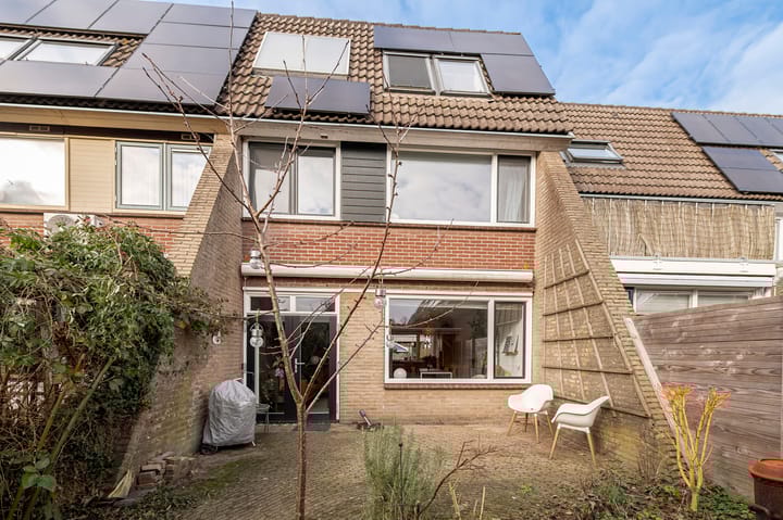 Akelei 38 main image