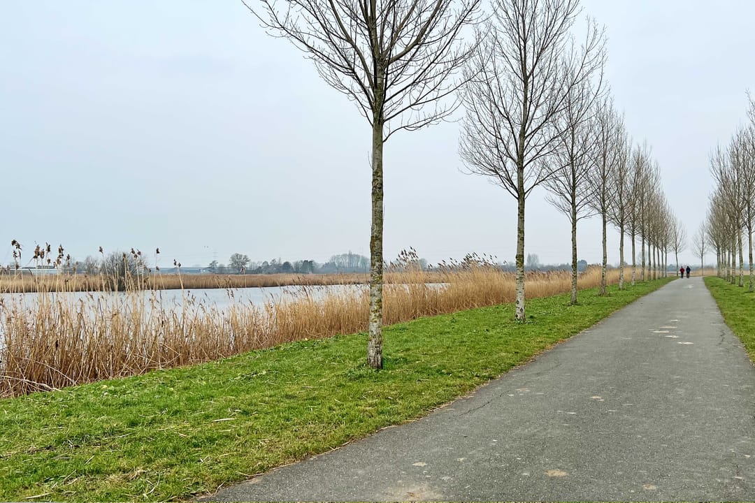 Foto 47 van Noordersingel 50