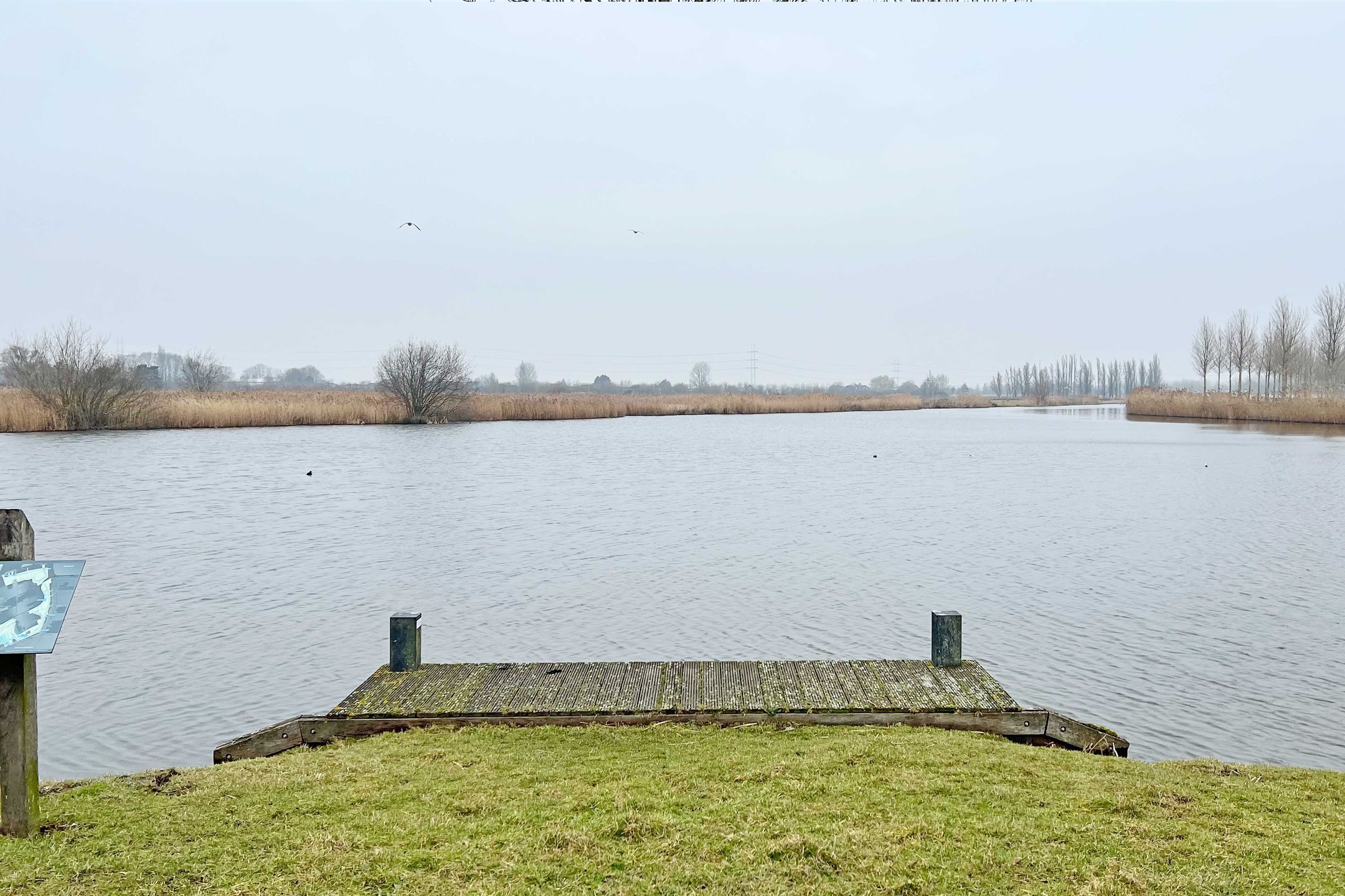 Foto 48 van Noordersingel 50