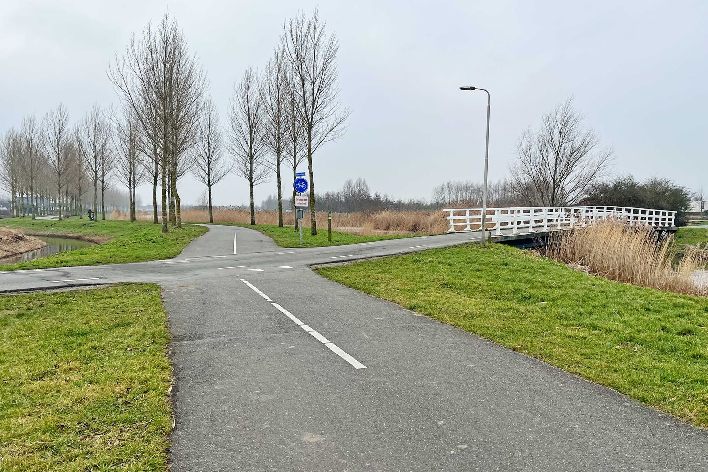 Foto 49 van Noordersingel 50