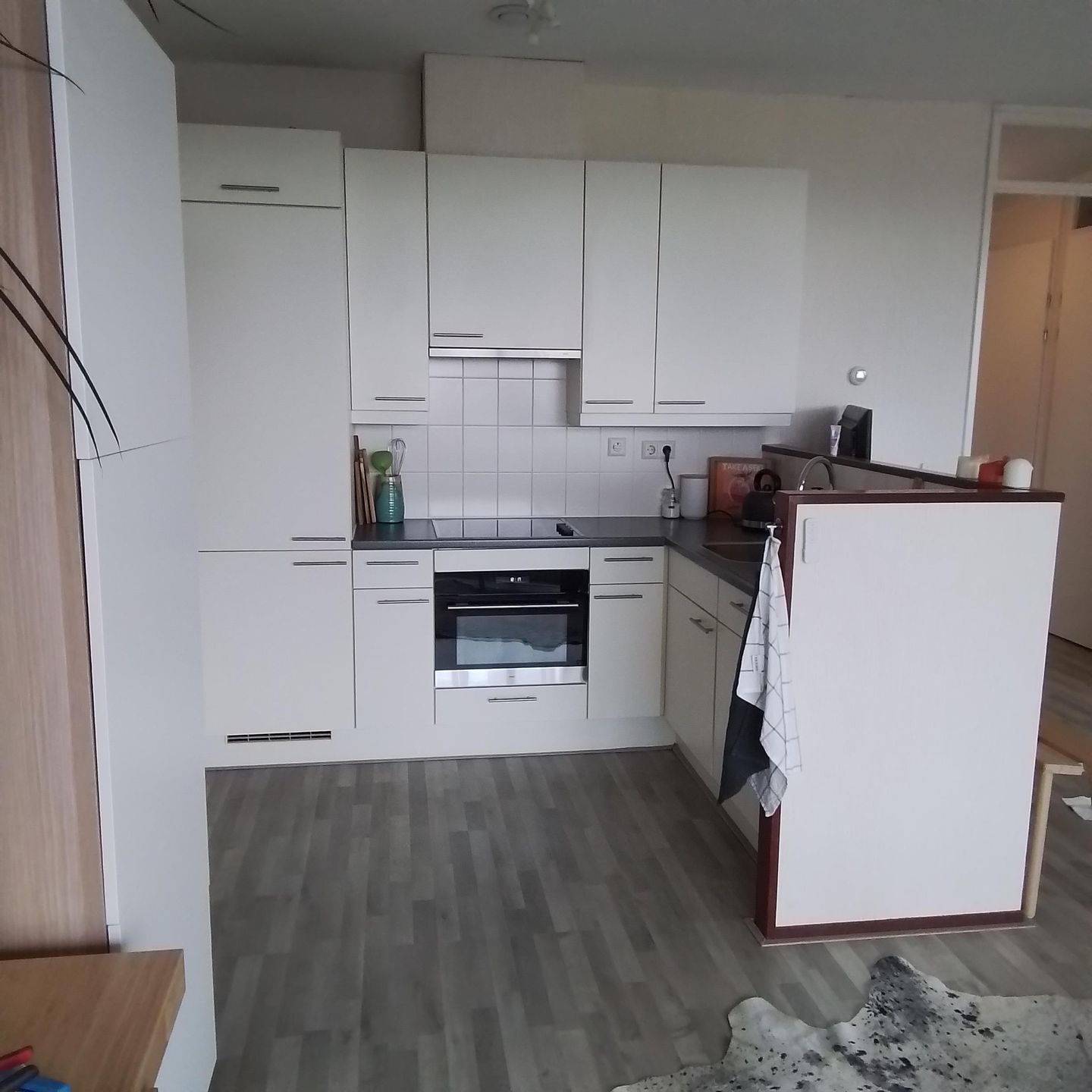 Foto 14 van Carolina MacGillavrylaan 340