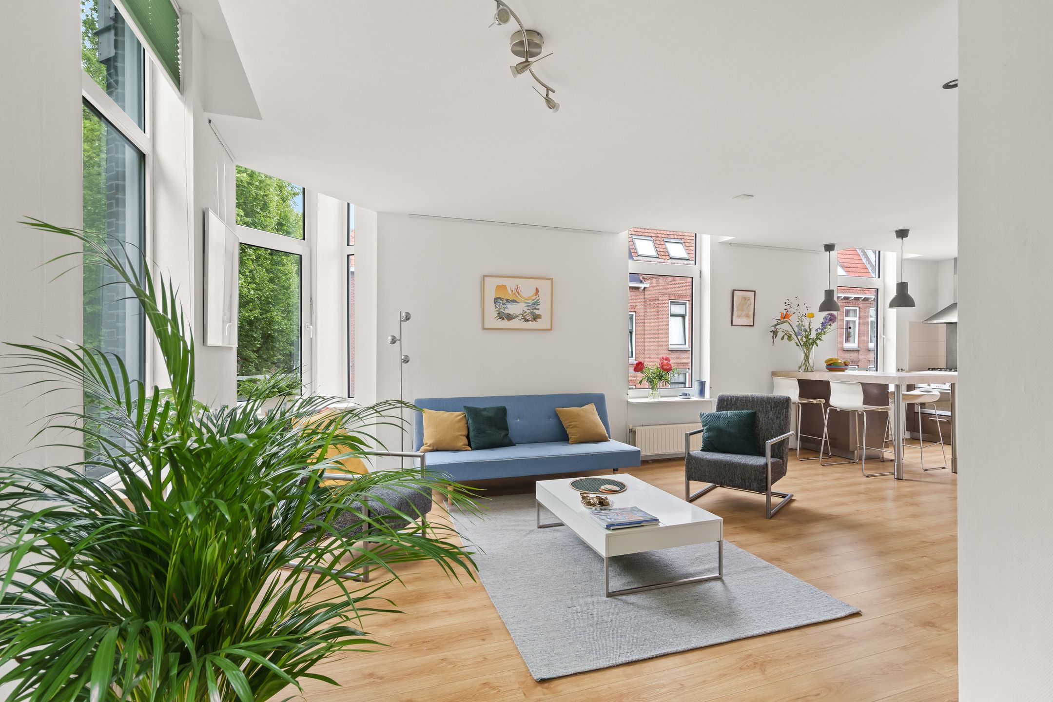 Foto 9 van Graaf Florisstraat 88-C