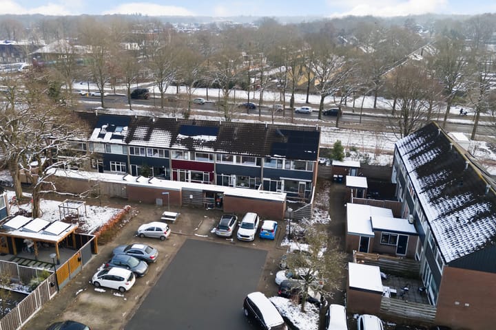 Photo 38 of Houtsnijdershorst 419