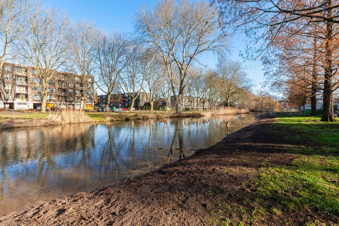 Foto 28 van Adriaen van Ostadestraat 18