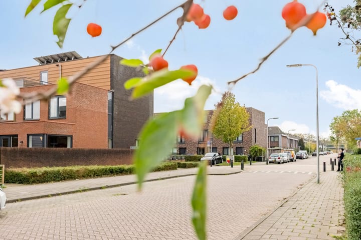 Foto 48 van Jupiterstraat 26