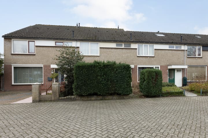 Photo 2 of Proveniersblok 4