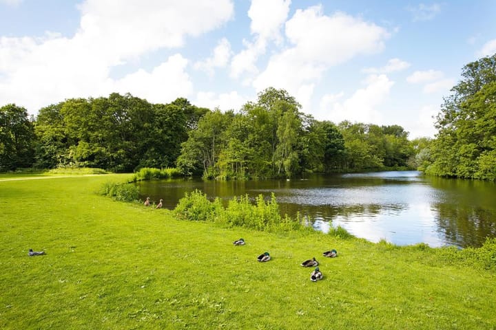 Foto 37 van Haarlemmermeerstraat 38-2