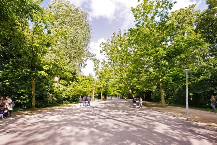 Foto 35 van Haarlemmermeerstraat 38-2