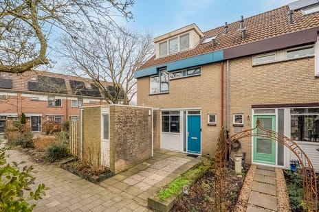 Kamperfoelie thumbnail