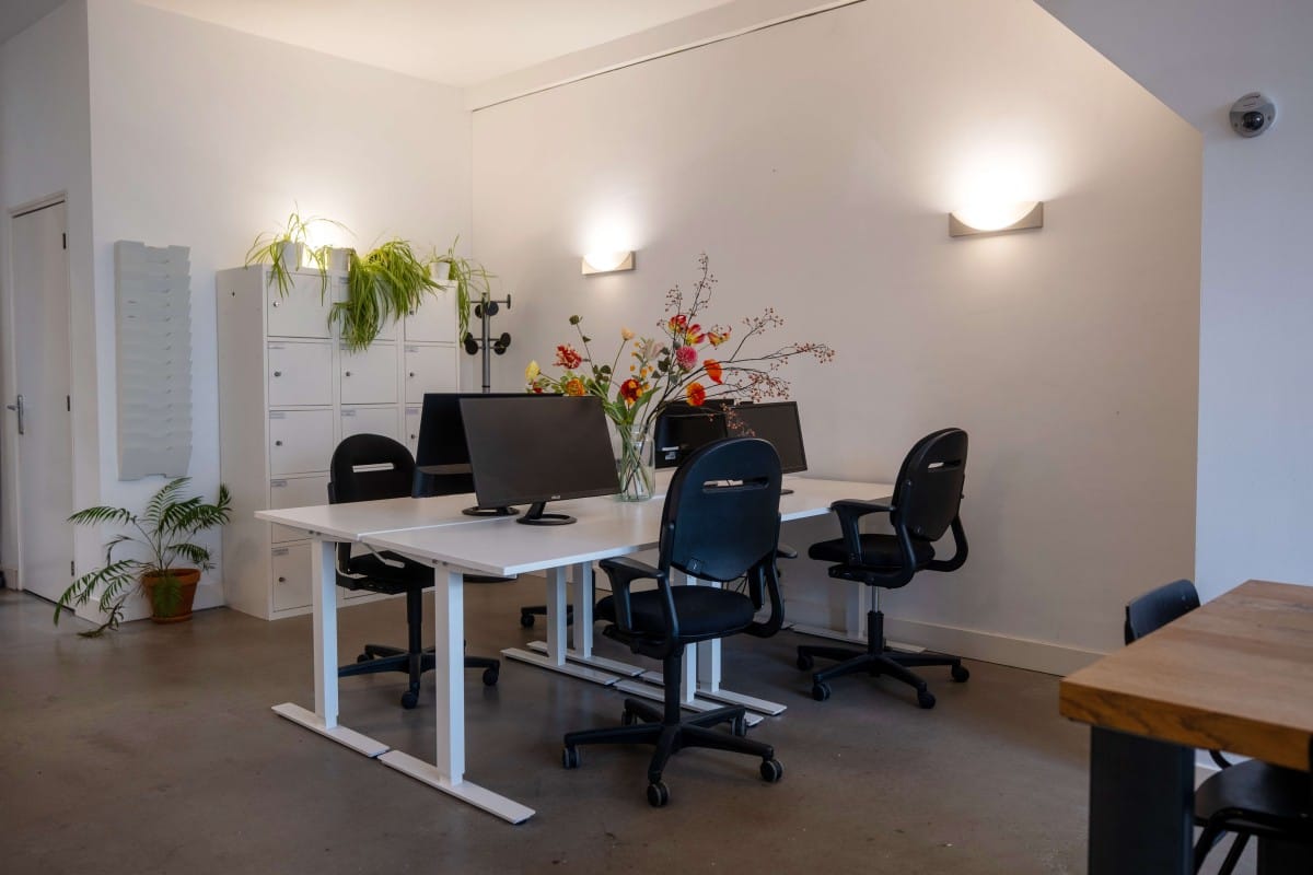 Bekijk foto 4 van Haarlemmer Houttuinen 15-1