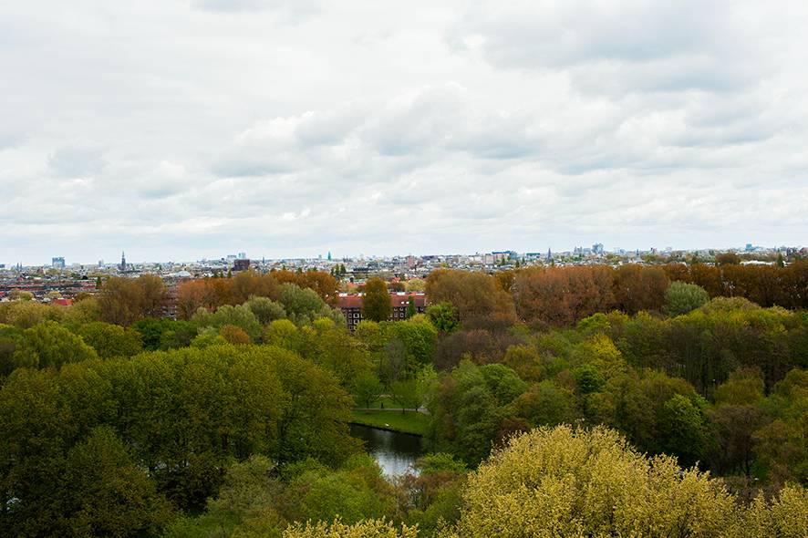 Foto 19 van Nachtwachtlaan 205