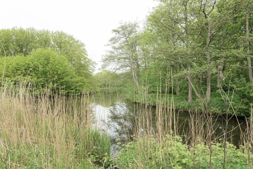 Foto 21 van Nachtwachtlaan 205