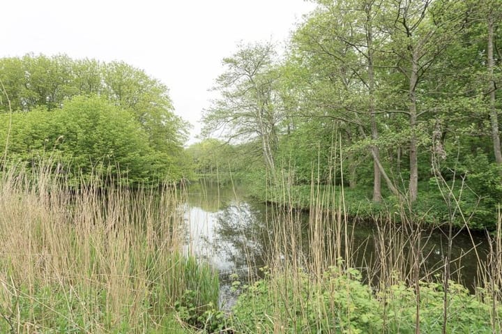 Photo 21 of Nachtwachtlaan 205