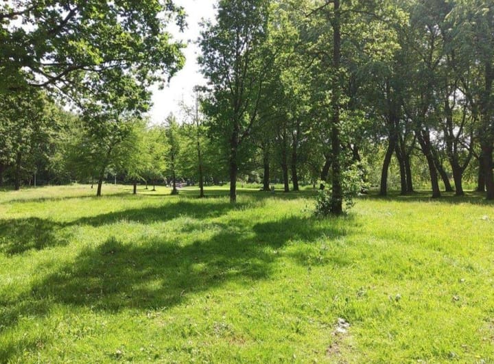 Photo 23 of Nachtwachtlaan 205