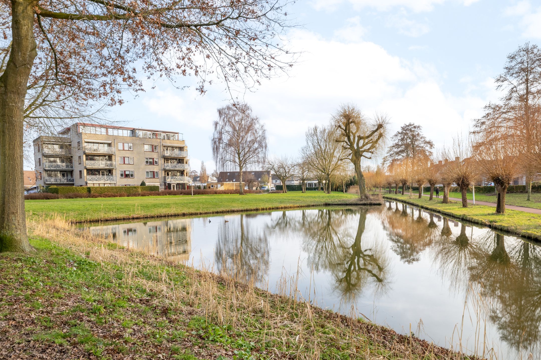 Foto 45 van Toon Slurinkhof 30