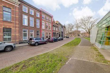 Nassausingel thumbnail