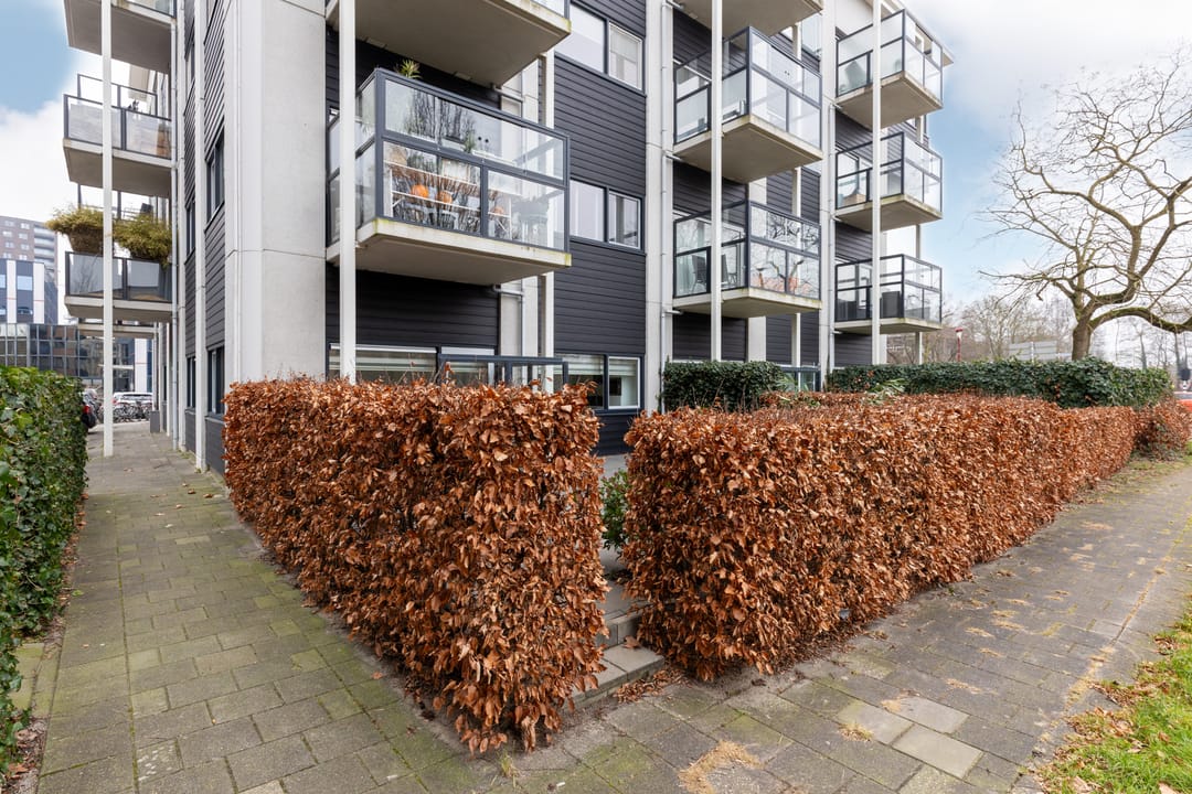 Photo 37 of Krijtwal 17-1