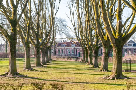 Hobbemakade 67 tertiary image