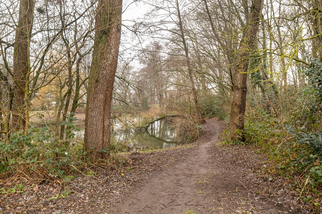 Foto 41 van Grootveld 63