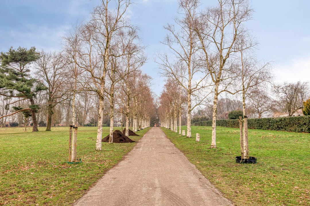 Photo 26 of Wezenlaan 191-A