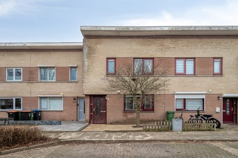 undefined main image