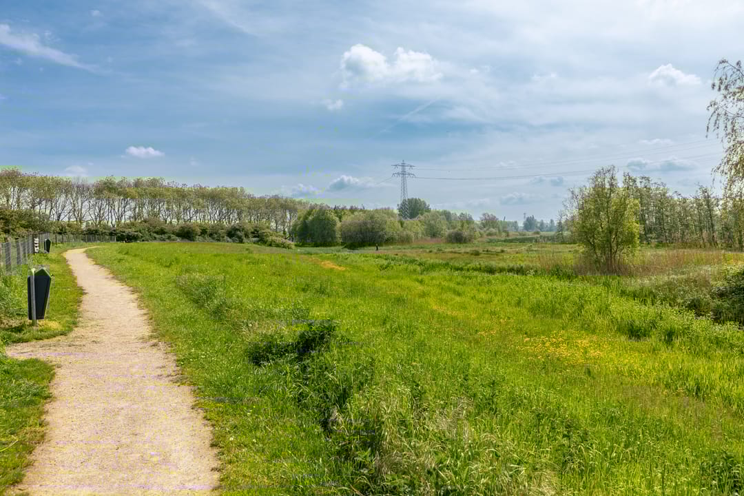 Foto 43 van Botterweg 63