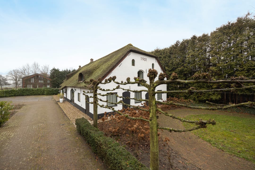 Foto 83 van Sprangweg 1