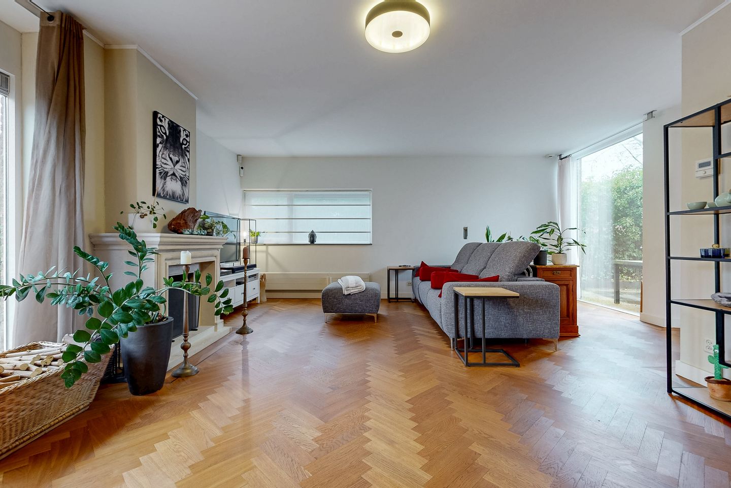 Foto 10 van Colijnlaan 150