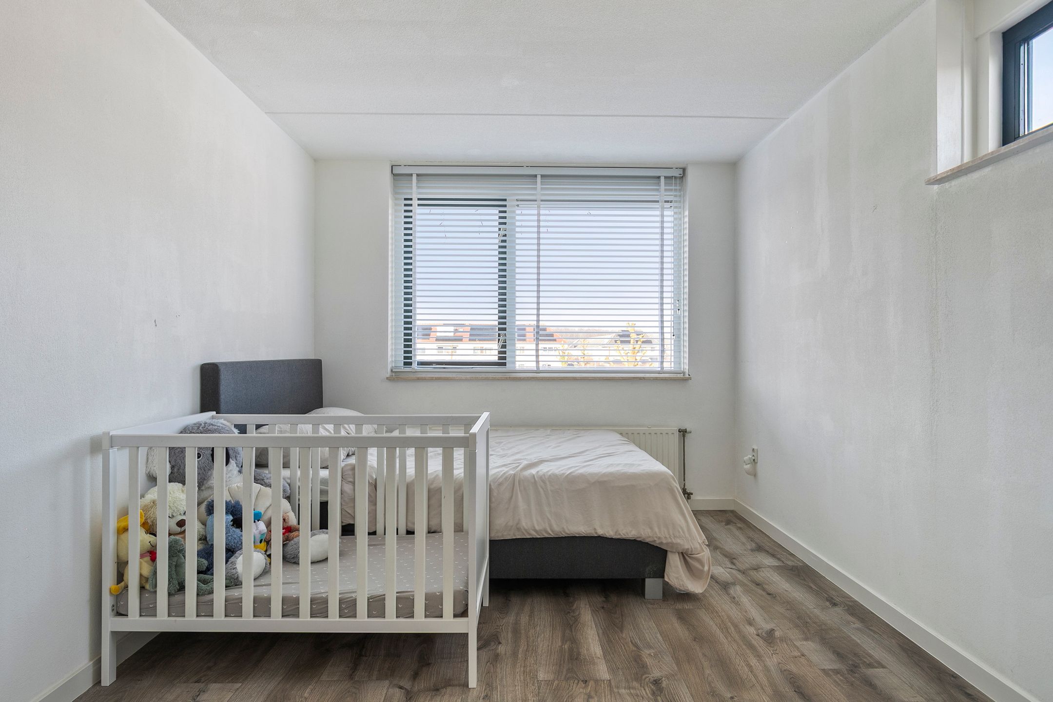 Foto 21 van Koekoeksbloem 1